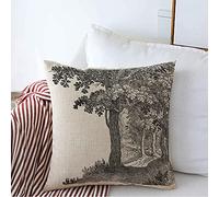 Pillow Cover Old Fairy Pattern Vintage Antique Branch Leaves Set Magic Textures Abstract Text Cushion Case Modern Pillowcases For Home Couch 45X45 CM