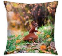Pillow Cover,Squirrel In Forest Decorative Throw Pillowcase Soft Cushion Covers 30x30 cm for Bedroom Sofa