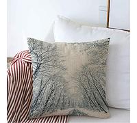 Pillow Cover Winter Snowfall Path Way Snow Road Nature Miscellaneous Tree Empty Beautiful Cushion Covers Super Soft Pillowcases For Sofa Home 45X45 CM