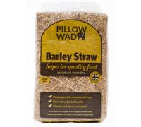 Pillow Wad Barley Straw Large 2Kg