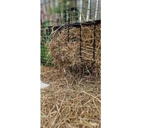 Pillow Wad Hay Large 2.25kg