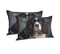 Pillowcase Ultra Soft Pillow Cases with Hidden Zipper Soft Breathable Cooling Pillow Cover Standard Pillow Covers Spaniel On The Sofa Pillowcase Queen Pillow Case for Sleeping 16"x24"