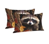 Pillowcase Ultra Soft Pillow Cases with Hidden Zipper Soft Breathable Cooling Pillow Cover Standard Pillow Covers Raccoon in The Fall Tree Hole Pillowcase Queen Pillow Case for Sleeping 16"x24"