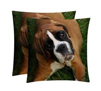 Pillowcases Couch Pillow Covers,boxer dog on the grass,Decorative Pillow Covers Cushion Cover,Throw Pillow Covers