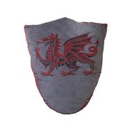 Pillowfight Warriors Medieval Pendragon Shield