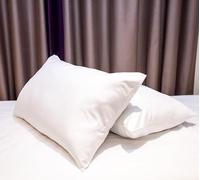 Pillows Hollow Fibre Filled Spring Bounce Back Luxury Comfortable Bed Pillow - Hypoallergenic Standard Pillow - Hotel Quality Deep Sleep Multi Packs Body Cushion - 50x75 cm (2 Packs)
