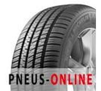 Pilot Sport A/S 3 (N0) XL