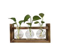 Pimaja Propagation Station 3 Bulb Vase with Wooden Stand, Planter Glass Vase for Hydroponics Home Garden Office Decoration