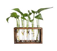 Pimaja Tube Propagation Station Wall Hanging Glass Vase in Wood Stand Rack Tabletop Terrarium with 5 Test Tube for Propagating Hydroponic Plants, Home Office Decoration