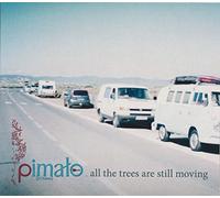 Pimalo - All the Trees Are Still Moving