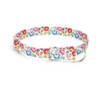 Pimaodog Martingale Dog Collar - No Pull Training Collar with Flower Multicolor Cute Patterns - Premium No Slip Collar with Slidable Stop Ring - Suitable for Small, Medium, Large Dogs (S, White)