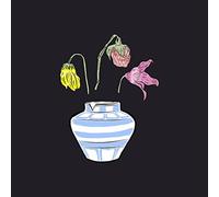 PINACT - PART THAT NO ONE KNOWS VINYL,T [VINYL]