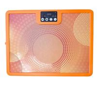 Pincary PawHeat 3-in-1 Pet Far-Infrared Heater Panel, Orange, Digital Temperature Control, 30-90°C, Energy-Efficient 250W, Remote Control, Cage Mountable, for Small Animals