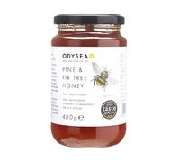 Pine and Fir Tree RAW HONEY, 480g - Award Winning - 100% Natural, Cold-Extracted, Pure & Unprocessed - Low in Sugar - Healthy - Premium - Greek - High