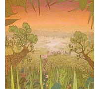 Pine Barons - Mirage On The Meadow (LP) [VINYL]