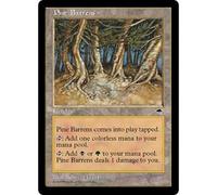 Pine Barrens | Tempest