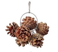 Pine Cone Chew Toy, Bird Toy for Parrots on Food Searching | Natural Nuts for Chewing Bird Toy, Bird Cage Accessories, Bird Toy for Cages for Small and Medium Size