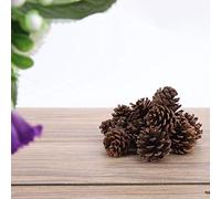 Pine Cones, Pinecone Ornaments Pine Cones For Decorating 16Pcs Ornament Christmas Party Hanging Decoration For DIY Crafts, Holiday, Wedding, Party, Home Decor