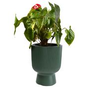 (Pine Green, 24cm - 8.5L) Plant Pots Flower Planter 7 Colours 3 sizes Tall Wavy Plastic Pot Boho Elegant