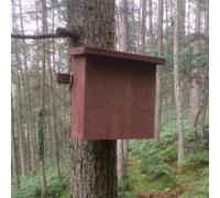 Pine Marten Den Box - Plywood - L27 x W56 x H57 cm Buttercup Farm Brown One Size