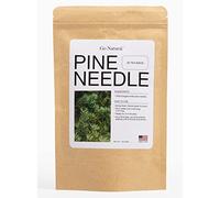 Pine needle tea, wild-foraged in the USA, picked from northern white pines | Protects against infection, strengthens immunity, high in antioxidants, natural suramin (20 Count (Pack of 1))