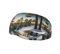 Pine Needle Tree Winter Landscape Print Headband Hair Sweat Headband Head Wrap Hair Non-Slip Stretchable Washable Makeup Headband
