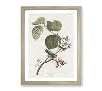 Pine Swamp Warbler By John James Audubon Vintage Framed Print | A3 Oak Framed Wall Art | Ready to Hang | Classic Nature Picture | Living Room Bedroom Lounge Office