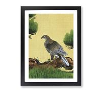 Pine Tree & Eagle By Kano Tan'Yu Asian Japanese Framed Wall Art Print, Ready to Hang Picture for Living Room Bedroom Home Office Décor, Black A2 (64 x 46 cm)