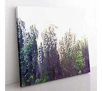 Pine Tree Forest in the Fog in Abstract Modern Canvas Wall Art Print Ready to Hang, Framed Picture for Living Room Bedroom Home Office Décor, 50x50 cm (20x20 Inch)