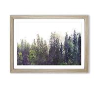 Pine Tree Forest in The Fog Painting Framed Print | A2 Oak Framed Wall Art | Ready to Hang | Modern Floral Picture | Living Room Bedroom Lounge Office