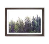 Pine Tree Forest in The Fog Painting Framed Print | A2 Walnut Framed Wall Art | Ready to Hang | Modern Floral Picture | Living Room Bedroom Lounge Office