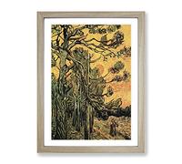 Pine Trees Against A Red Sky By Vincent Van Gogh Classic Painting Framed Print | A4 Oak Framed Wall Art | Ready to Hang | Classic Floral Picture | Living Room Bedroom Lounge Office
