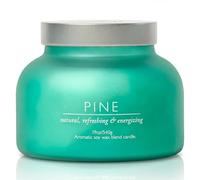 Pine Volcano Candle 540g: 80-Hour Burn, Natural Refreshing Pine Scent, Hybrid Soy Wax, Crackling Wood Wick, Teal Matte Glass Jar, Gold Foil Gift Box by Spotless Candles
