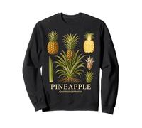 Pineapple Ananas comosus Tropical Bromeliad Study Sweatshirt