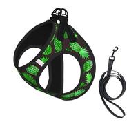 Pineapple Art Print Step in Dog Harness and Leash Set,Mesh Pet Vest Harness for Small Dogs and Cats