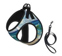 Pineapple By The Sea Print Dog Harness Reflective Pet Vest Harness Puppy Harnesses Leash Set,For Walking Training