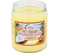 Pineapple Coconut Pet Odour Candle
