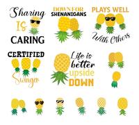 Pineapple Cruise Door Magnets Decorations - 13 Pcs Funny Tropical Vacation Cruise Essentials Magnets Waterproof Magnetic Stickers Ship Cabin Door Signs For Stateroom Refrigerator Carnival Party Decor