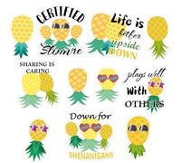 Pineapple Cruise Door Magnets Upside Down Pineapple Magnets 11 Pcs Pineapple Must Haves Funny Magnetic Door Signs for Door Summer Party Car Accessories Refrigerator Decor
