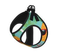 Pineapple Flamingo Print Dog Harness Vest for Small Pets S | Small Sized Leash Set Soft Light Puppy Breathable Mesh Reflective Training Walking Adjustable Circumference