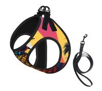 Pineapple Fruit Sunglasses Sand Beach Print Harness Leash Set For Cat Dog, Reflective Adjustable Escape-Proof Vest Lead With Soft Breathable Mesh, For Small Pets And Kitten Puppy