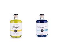 Pineapple Handmade Gin Liqueur 70cl - Refreshing & Tropical Premium Craft Gin - 20% ABV & Blueberry & Pear Handmade Gin Liqueur 70cl - Premium Craft Gin - 20% ABV