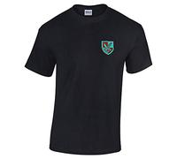 Pineapple Joe's 16 Air Assault Brigade Embroidered T-Shirt - Black - 4X Large