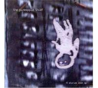 Pineapple Thief - 4 Stories Down