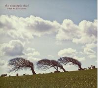 The Pineapple Thief - What We Have Sown