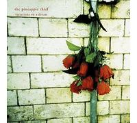 PINEAPPLE THIEF - Variations On A Dream - CD - 58 - F4z