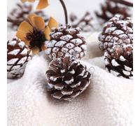 Pinecone Christmas Ornaments - 9 pcs Natural Wood Holiday Decorations Rustic Farmhouse Xmas Tree Decor for Home Party Gift White 3-4cm