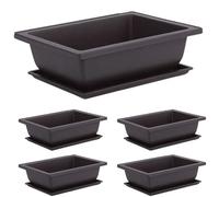 Pineeseatile Bonsai Pot 5 Sets Square Plastic Plant Pot with Saucer Bonsai Tree Pots with Trays Garden Pots for Flower Growing, L, Plant With Saucer