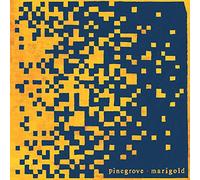 Pinegrove – Marigold – 12" Coloured Vinyl LP – Limited Edition