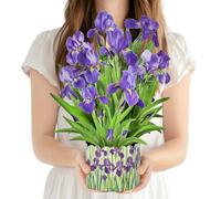 PINELIFE 3D Greeting Cards Pop Up Cards 16" Iris Paper Flower Bouquet Gifts for Women Mom Wife Birthday, Anniversary, Get Well Cards with Note Card & Envelope, Romantic Iris